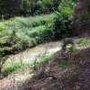 Uncle Neil Sainsbury, Duck Creek swimming hole